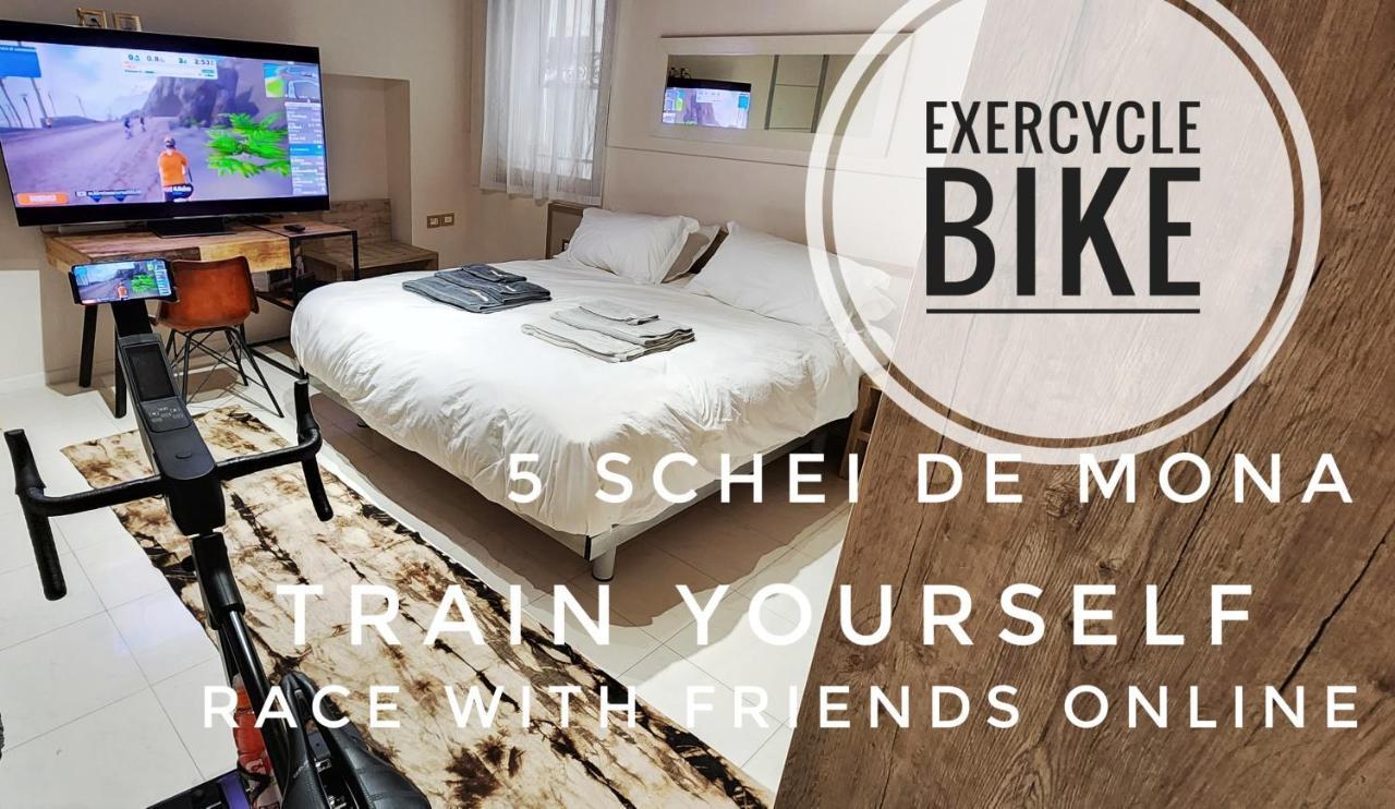 5 Schei De Mona Best Holiday Apartment With Gym In Venice Cannaregio Eksteriør billede