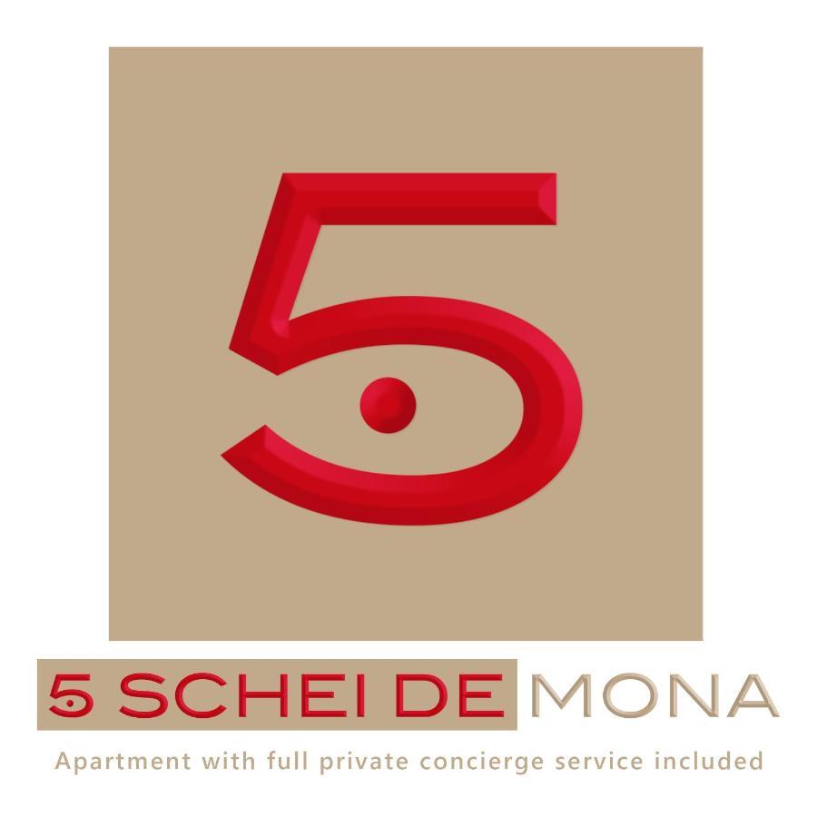 5 Schei De Mona Best Holiday Apartment With Gym In Venice Cannaregio Eksteriør billede